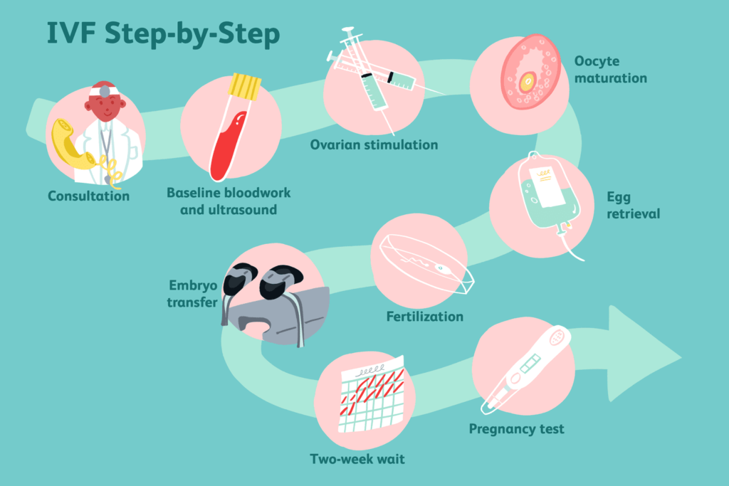 process of ivf treatment step by step